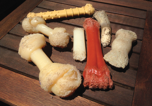 nylabone multipack